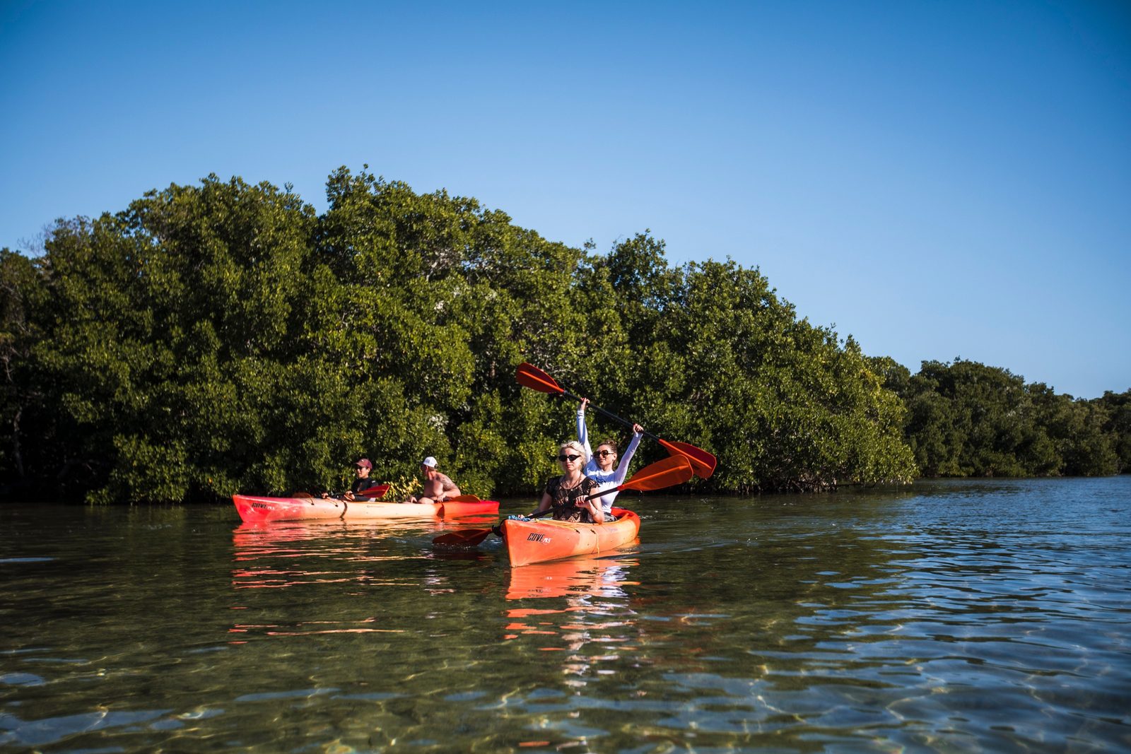 Two orange kayaks paddling along the edge of a mangrove island in calm, clear backcountry water