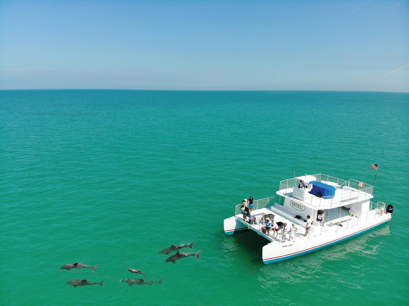 Aerial view of the white catamaran drifting over green backcountry water with a pod of dolphins swimming beside it